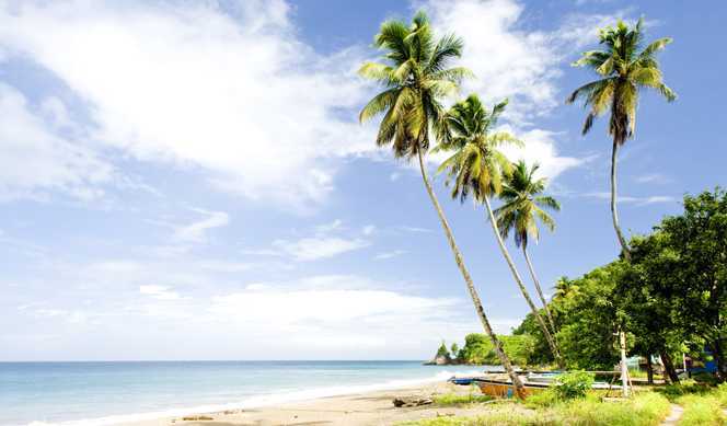 États-Unis, Antigua-et-Barbuda, Martinique, Barbade, Grenade avec Oceania Cruises