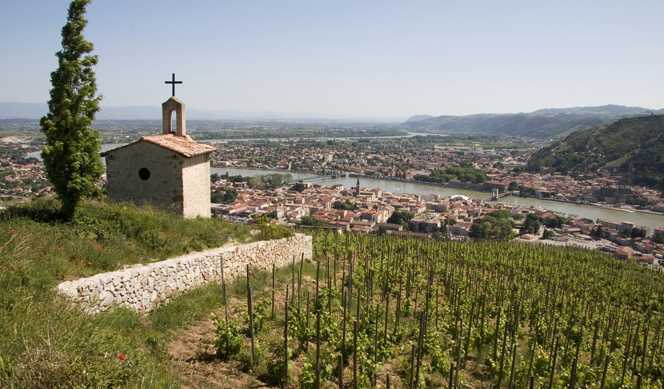 Gastronomie et vignoble entre Rhône et Saône avec Croisieurope