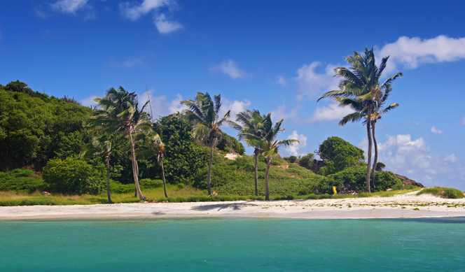 Martinique, Guadeloupe, Saint-Vincent-et-les Grenadines, Grenade, Barbade avec Costa Croisières
